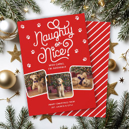 Naughty oder Nice Funny Niedlich Pet Hund Katze 3 Feiertagskarte