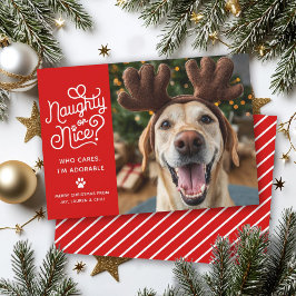 Naughty oder Nice Funny Niedlich Pet Hund Katze Fo Feiertagskarte