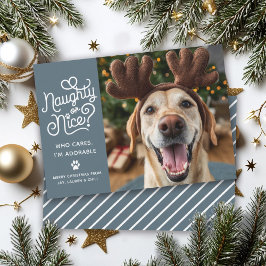 Naughty oder Nice Funny Niedlich Pet Hund Katze Fo Feiertagskarte