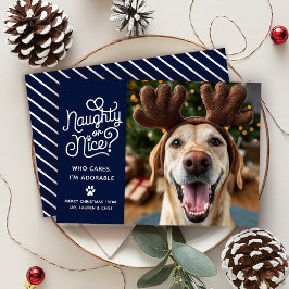 Naughty oder Nice Funny Niedlich Pet Hund Katze Fo Feiertagskarte