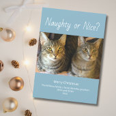 Naughty oder Nice Niedlich Cats Foto Weihnachten