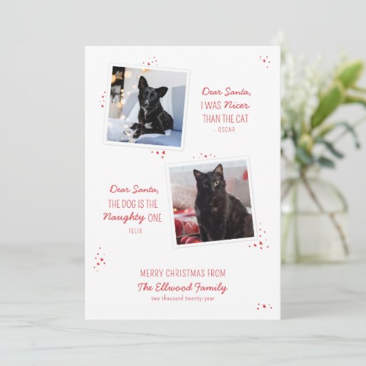 Naughty oder Nice Pet Funny Weihnachtskarte (Stehend Vorderseite)
