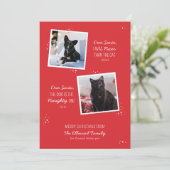 Naughty oder Nice Pet Funny Weihnachtskarte (Stehend Vorderseite)