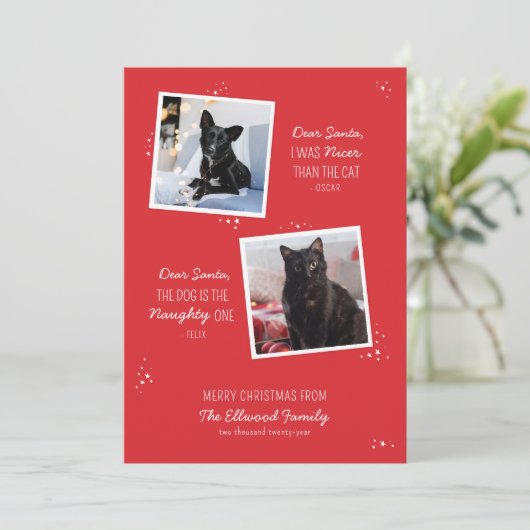 Naughty oder Nice Pet Funny Weihnachtskarte (Stehend Vorderseite)