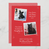 Naughty oder Nice Pet Funny Weihnachtskarte (Vorne/Hinten)