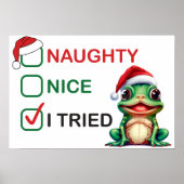 Naughty oder Nice Poster (Vorne)