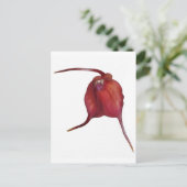 Naughty Orchid Postkarte (Stehend Vorderseite)
