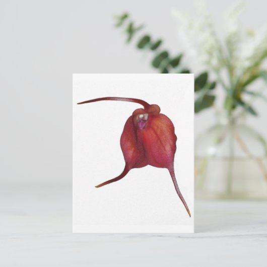 Naughty Orchid Postkarte (Stehend Vorderseite)