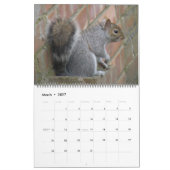 Naughty Squirrels Custom Calendar Kalender (Mär 2027)