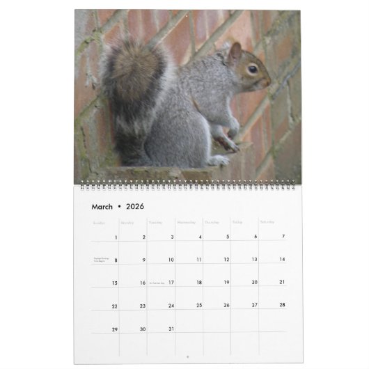 Naughty Squirrels Custom Calendar Kalender (Mär 2026)
