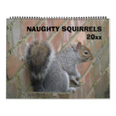 Naughty Squirrels Custom Calendar Kalender (Titelbild)