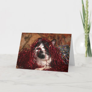 Naughty tuxedo kitty Weihnachten