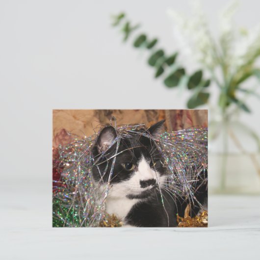 Naughty tuxedo kitty Weihnachten (Stehend Vorderseite)