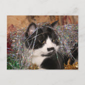 Naughty tuxedo kitty Weihnachten (Vorderseite)