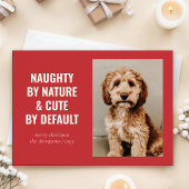 Naughty und Niedlich Funny Dog Weihnachten Foto