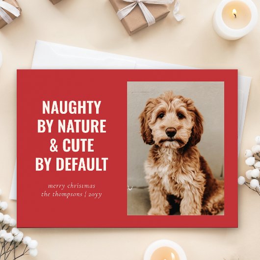 Naughty und Niedlich Funny Dog Weihnachten Foto