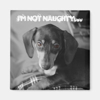 Naughty-Weiner-Hund
