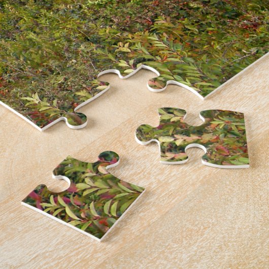 Nauset Leuchtturm, Puzzlespiel Cape Cods Puzzle (Seite)