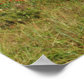 Nauset Lighthouse Beach Cape Cod National Seashore Poster (Ecke)