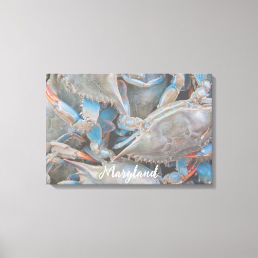 Nautic Beach House Rustic Crab Canvas Print Leinwanddruck (Vorderseite)