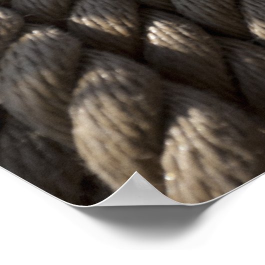 Nautic Coil Poster (Ecke)