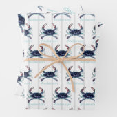 Nautic Crab Ocean Navy Blue, Aquamarin Geschenkpapier Set (Beispiel)