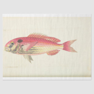 Nautic Pink Fish Ephemere Decoupage Vintag Seidenpapier
