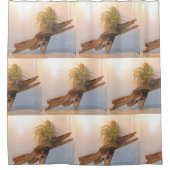 Nautic Pirate Duschvorhang (Vorderseite)