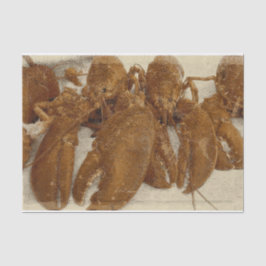 Nautic Vintag Ocean Texture Lobster Seidenpapier