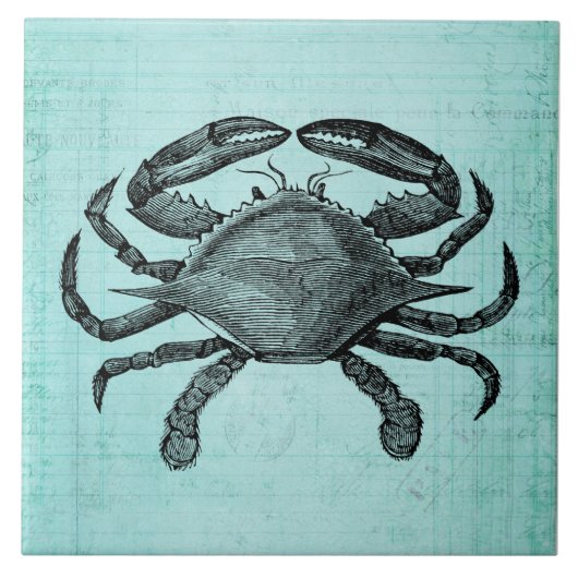 Nautical Ocean Crab Antiquitätenkunst Aquamarines Fliese (Vorderseite)