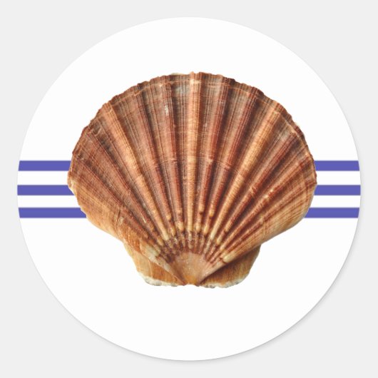 Nautical Seashell - Circle Sticker (Vorderseite)