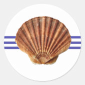 Nautical Seashell - Circle Sticker (Vorderseite)