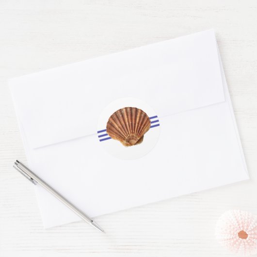 Nautical Seashell - Circle Sticker (Umschlag)