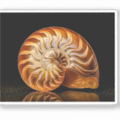 Nautil, Goldmuschel Aufkleber (Vorderseite)
