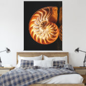 Nautil, Goldmuschel Leinwanddruck (Insitu (Schlafzimmer))