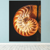 Nautil, Goldmuschel Leinwanddruck (Insitu (Holzboden))