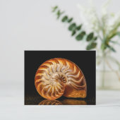 Nautil, Goldmuschel Postkarte (Stehend Vorderseite)