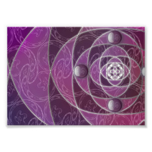 Nautilina Foto Print