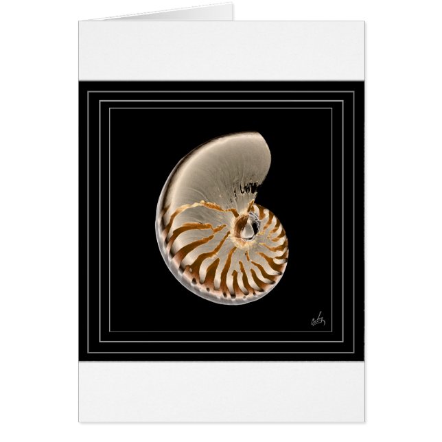 Nautilus (Vorne)