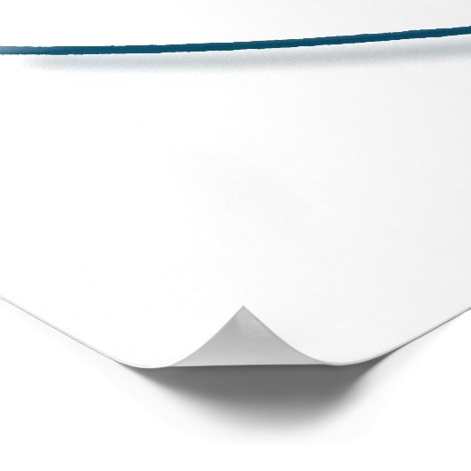 Nautilus 2 poster (Ecke)