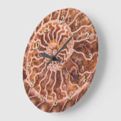 NAUTILUS ALTE SPIRALE GROßE WANDUHR (Winkel)