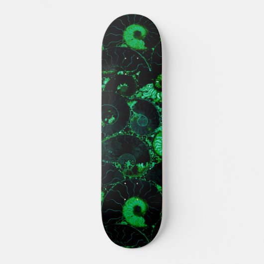 Nautilus-grüne Muschel Skateboard (Vorderseite)