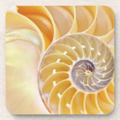 Nautilus harter Kunststoff-Untersetzer Getränkeuntersetzer (Vorderseite)