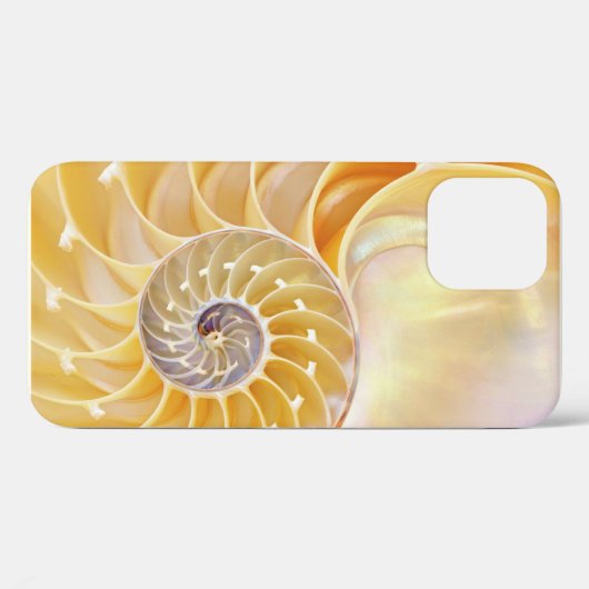 Nautilus iPhone Case (Rückseite (Horizontal))