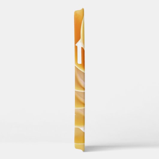 Nautilus iPhone Case (Rückseite / Rechts)