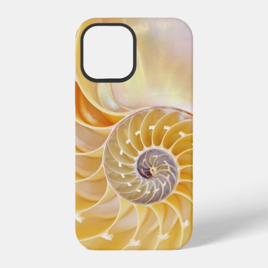 Nautilus-iPhone-Hülle iPhone Hülle (Rückseite)