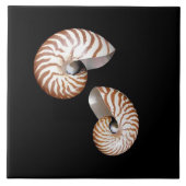 Nautilus-Keramik Fliese (Vorderseite)