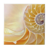 Nautilus Keramik Tile Fliese (Vorderseite)