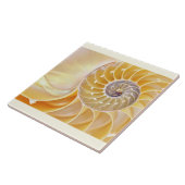 Nautilus Keramik Tile Fliese (Seite)