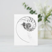 Nautilus Muschel 1 Postkarte (Stehend Vorderseite)